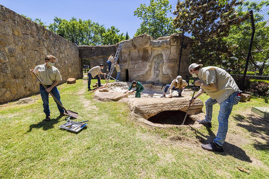 bill-eva-williams-bear-habitat-baylor-bear-habitat-baylor-university